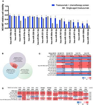 MicroRNAs as biomarkers for trastuzumab-based therapy in HER2-positive advanced oesophago-gastric cancer patients